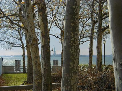 Statue of Liberty through the trees at Battery Park<br>Location: <a href="https://www.google.com/maps/search/?api=1&query=40.70292,-74.01626" target="_new">Battery Park</a>